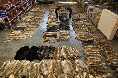 網(wǎng)易財經(jīng)一周圖片精選 8.04 8.10